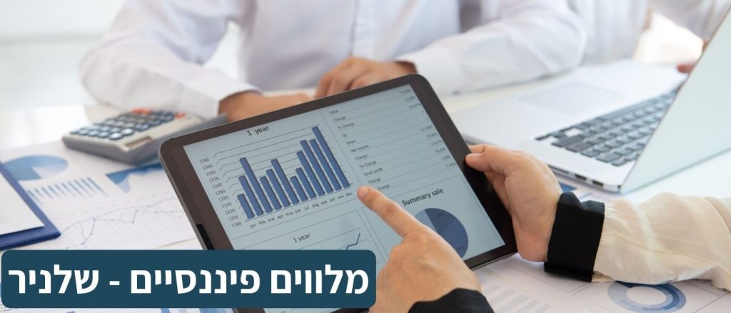 מלווים פיננסיים